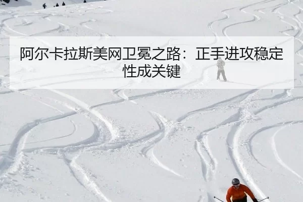 a-er-ka-la-si-mei-wang-wei-mian-zhi-lu-zheng-shou-jin-gong-wen-ding-xing-cheng-guan-jian-2-521.jpg