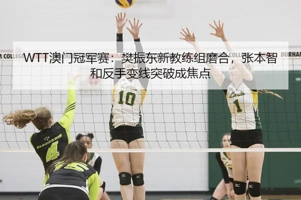 WTT澳门冠军赛：樊振东新教练组磨合，张本智和反手变线突破成焦点